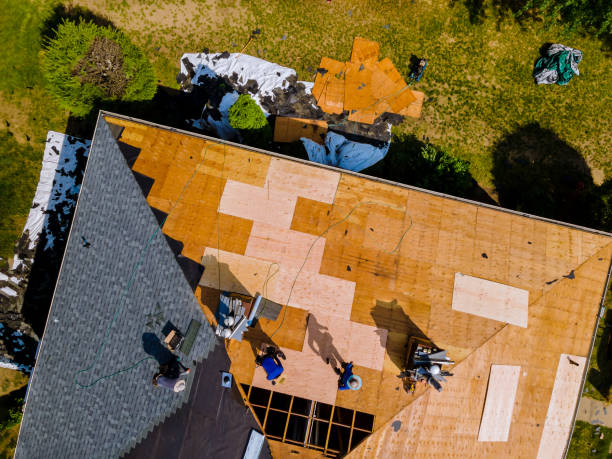 Best Metal Roofing Contractor  in Cave Junction, OR